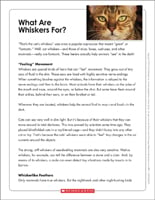 6th Grade Reading Comprehension Worksheets | Scholastic
