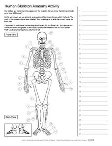 skeletal diagram worksheet