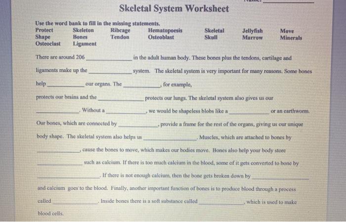 skeletal system worksheet answers