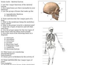 Skeletal System Joints Lesson Plans &  Worksheets Reviewed by Teachers