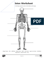 Skeleton-Worksheet KEY ANSWER | PDF | Skeleton | Bone