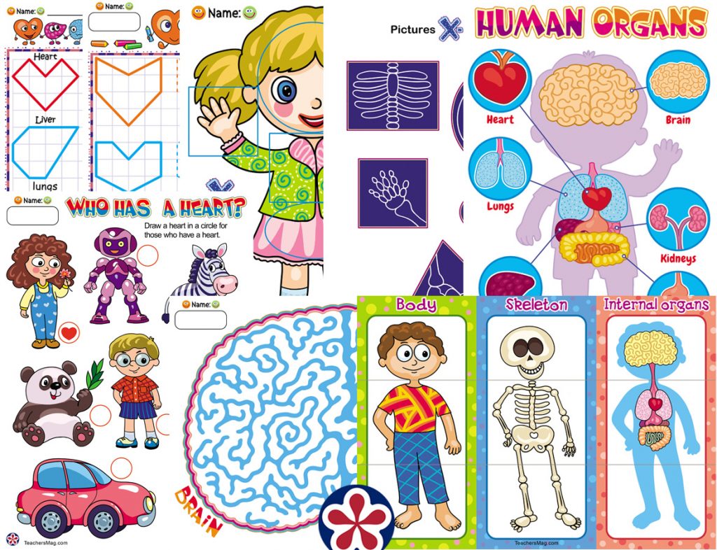 skeleton worksheet for kindergarten