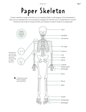 Paper Skeleton | Worksheet 