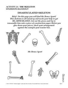 DISARTICULATED SKELETON Worksheet for 8th Grade | Lesson Planet