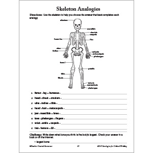 skills worksheet critical thinking analogies answers