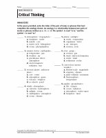 PDF) Skills Worksheet Critical Thinking - Wikispaces3+Critical+ ...