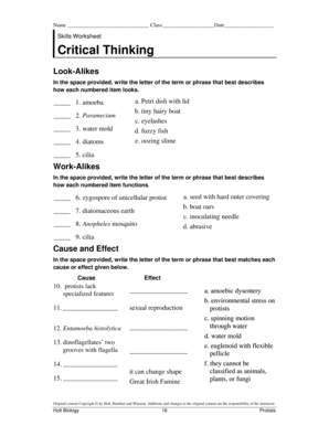 Critical Thinking Worksheets - Fill Online, Printable, Fillable ...