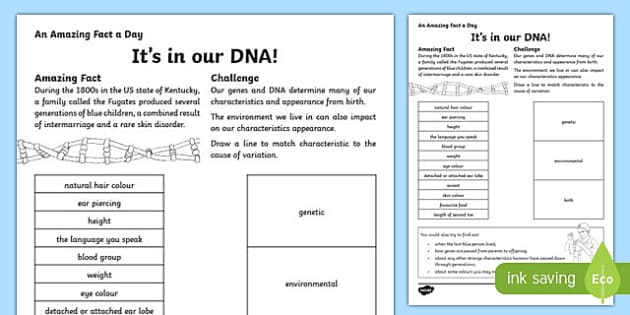 Its in our DNA! Worksheet / Worksheet, worksheet - Twinkl