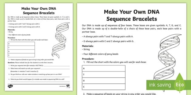 skills worksheet dna structure
