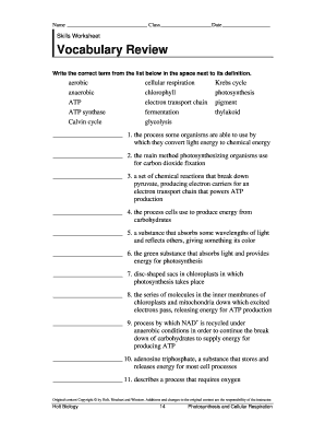 skills worksheet vocabulary review answers