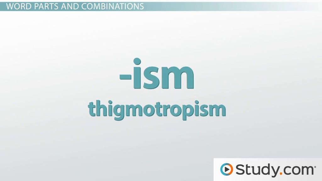 Science Terms &  Vocabulary | Overview &  Study Styles Video