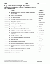 skills worksheet vocabulary review cell structure