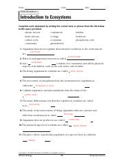 skills worksheet vocabulary review
