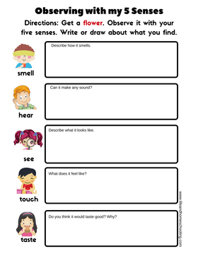 Free Kindergarten Science Printable Worksheets / Life and ...