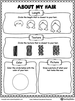 social studies worksheet kindergarten