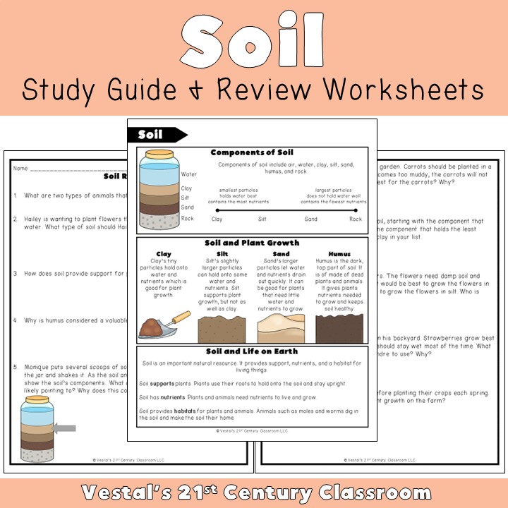 Types of soil • Teacha! - Worksheets Library