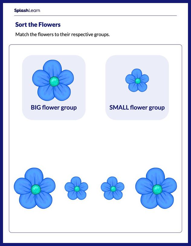 Sort the Flowers by Size - Math Worksheets - SplashLearn
