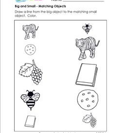 Sorting Worksheets for Kindergarten | A Wellspring of Worksheets
