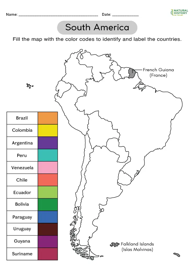 free-printable-blank-map-of-south-america-worksheet-worksheets-library for Free Printable Map Of Latin America Free Printable Blank Map of South America Worksheet - Worksheets Library for Free Printable Map Of Latin America