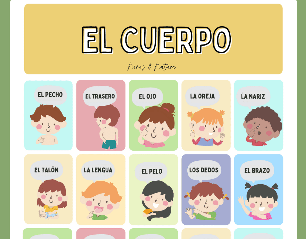 Learn 30+ Body Parts in Spanish - Free Printable included – Habbi