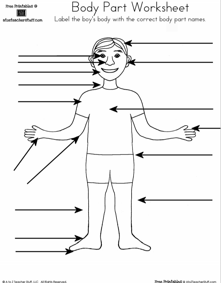Body Part Worksheet (Boy and Girl) | A to Z Teacher Stuff ...