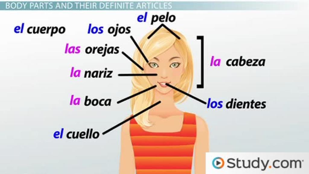 spanish body parts worksheet