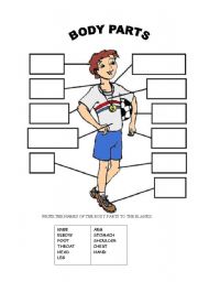 spanish body parts worksheet