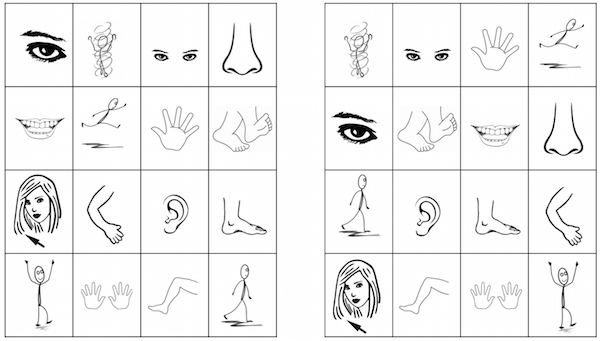 spanish parts of the body worksheet