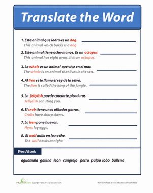 Sentences in Spanish | Worksheet 
