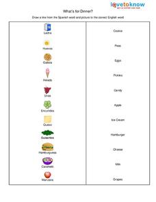 spanish to english worksheet for beginners