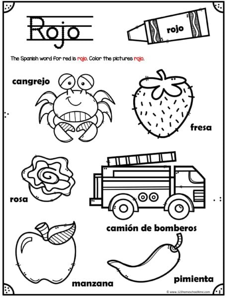 spanish worksheet for
