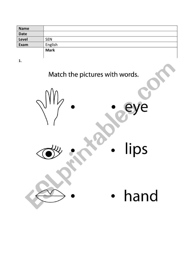 SEN (Special Educational Needs) test - ESL worksheet by mmazzan2