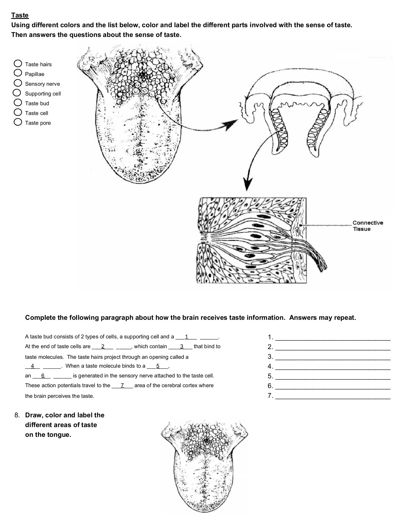 Chapter 9- Special Senses Worksheet - WRAnatomyClass Pages 1-5 ...