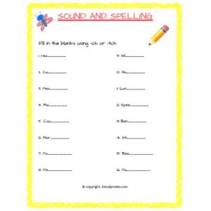 spelling and grammar worksheet