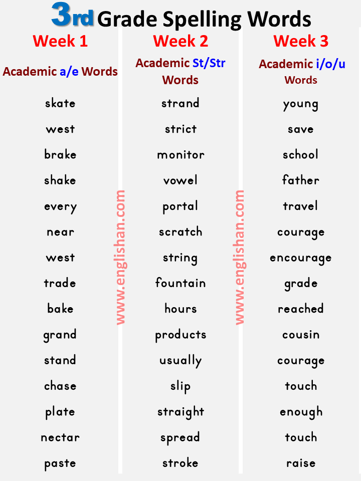spelling pattern worksheet 3rd grade