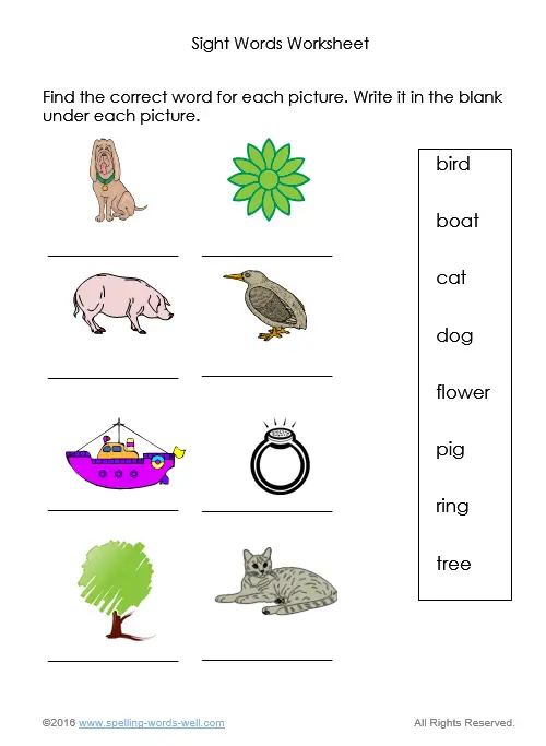 Kindergarten Worksheets for Early Learning Success