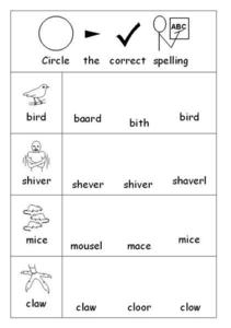 spelling worksheet for 2nd grade