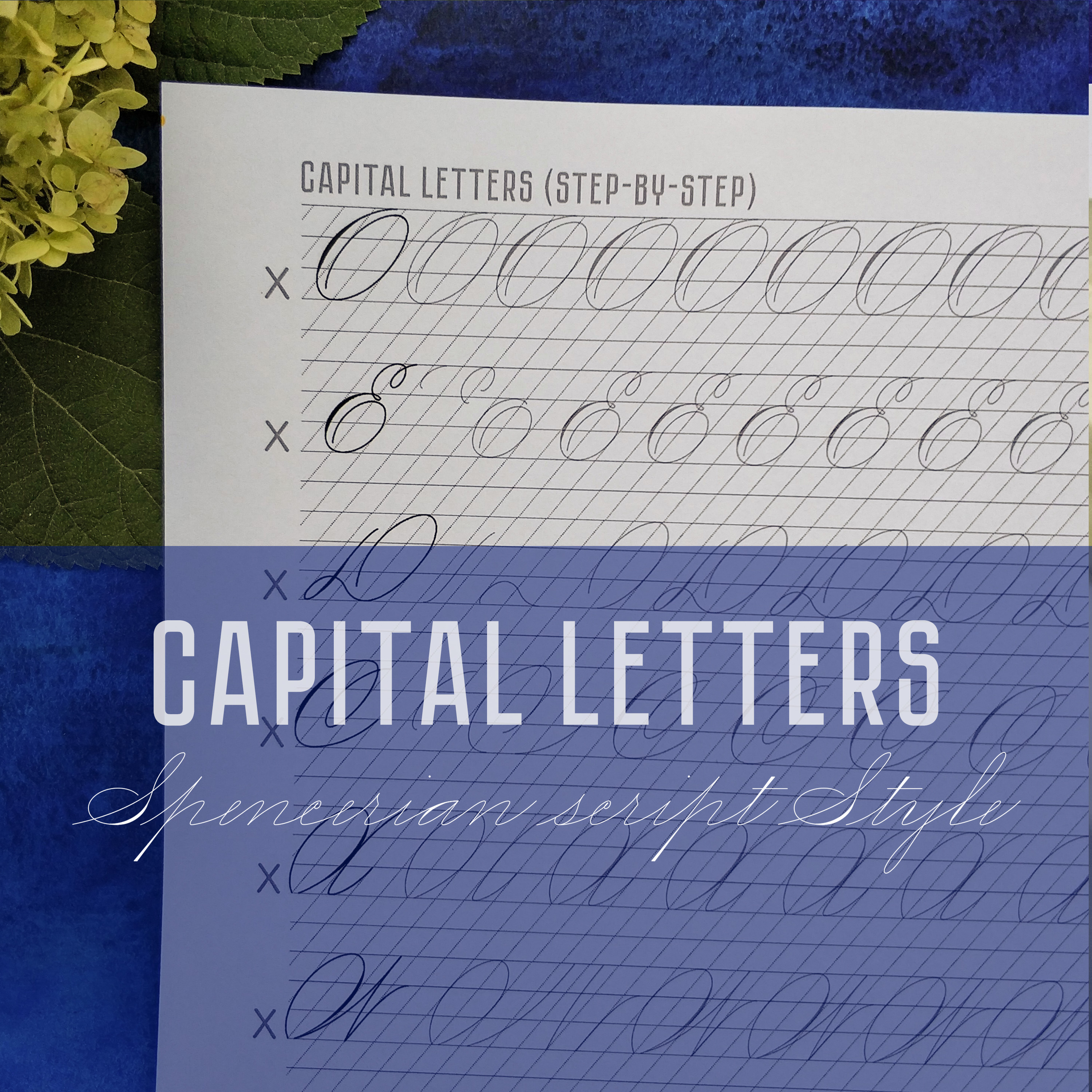 Free Spencerian Penmanship Worksheet Download Free Spencerian Free Spencerian Penmanship Worksheet Download Free Spencerian