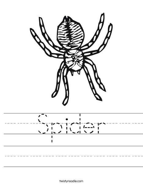 spider worksheet