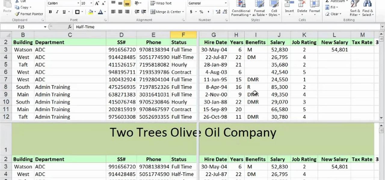 How to Freeze titles and create split screens in Microsoft Excel ...