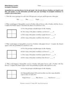 spongebob punnett square worksheet