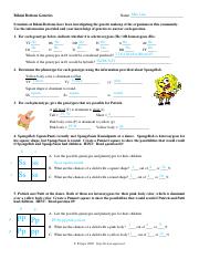 spongebob punnett square worksheet