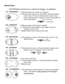Mitosis Notes Worksheet for 7th - 9th Grade | Lesson Planet