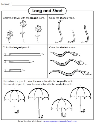 standards of measurement worksheet
