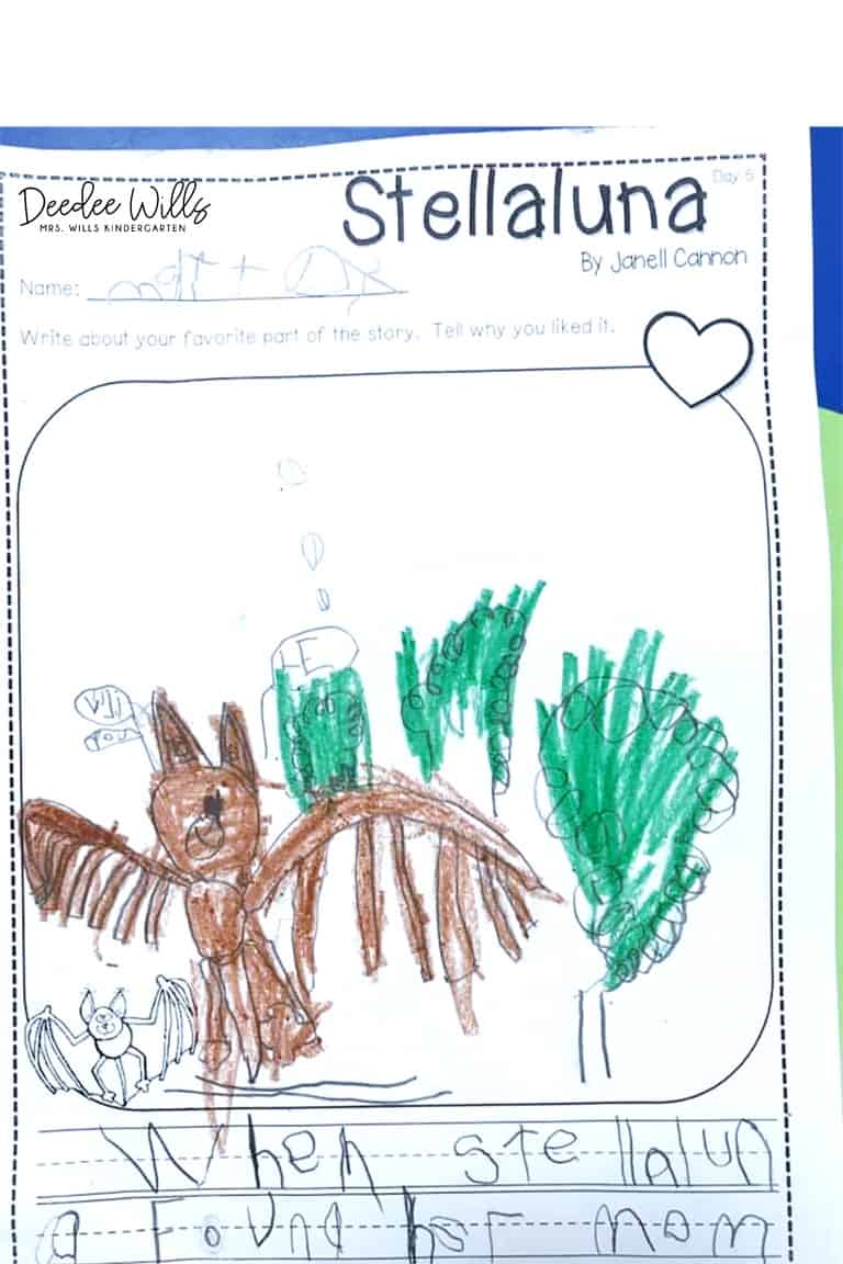 stellaluna worksheet