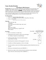 DNA strawberry extraction lab STUDENT handout.docx - Name: Braden ...