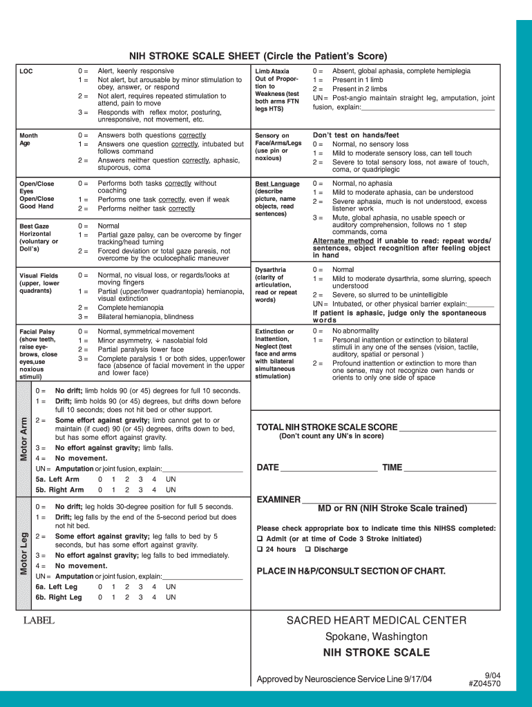 Nihss Stroke Scale Pdf - Fill Online, Printable, Fillable, Blank ...