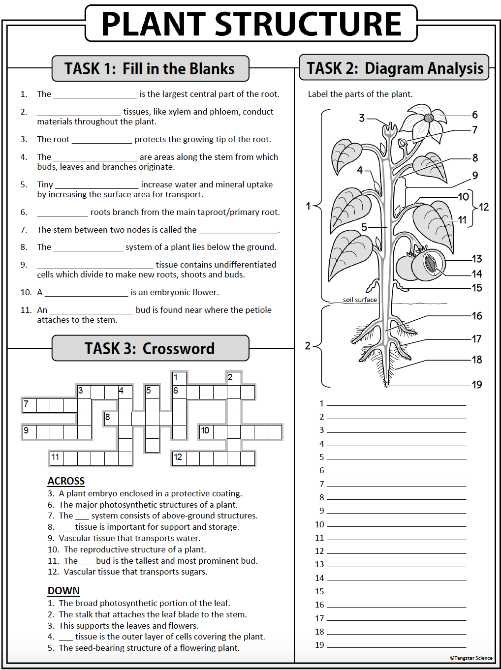 Solved PLANT STRUCTURE TASK 1 Fill in the Blanks TASK 2