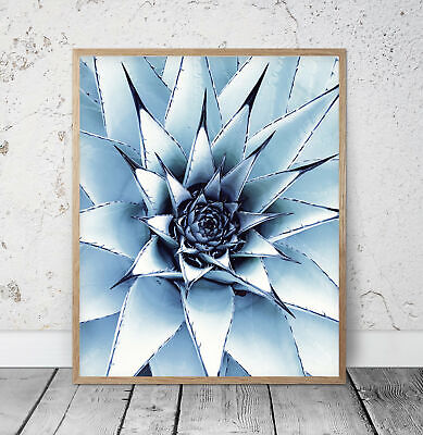 Succulent Printable Wall Art, Cactus Print, Succulents Cacti, Home ...