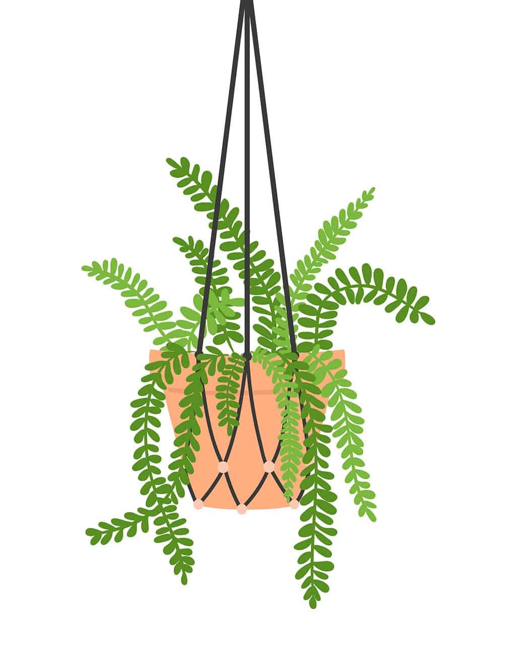 succulent printable wall art